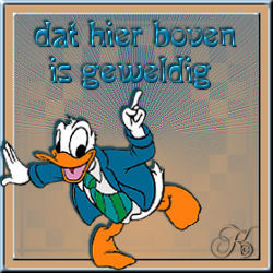 Plaatjes Donald duck Donald Duck Tekst, Dat Hier Boven Is Geweldig