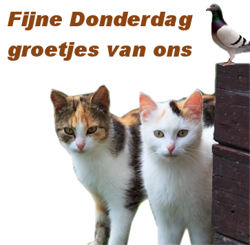 animaatjes-donderdag-3215877.png