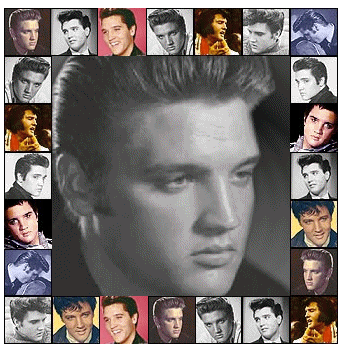 elvis