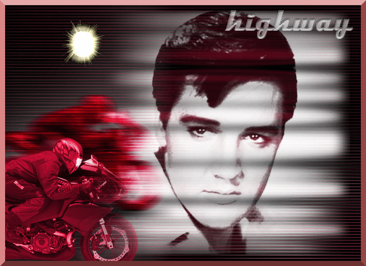 elvis