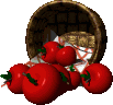 Eten Plaatjes Mand Tomaten Omgevallen