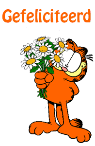 Plaatjes Feest Bloemen Voor Jou Verjaardag Garfield Kat