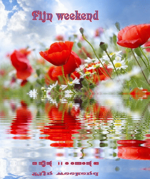 animaatjes-fijn-weekend-139161.gif