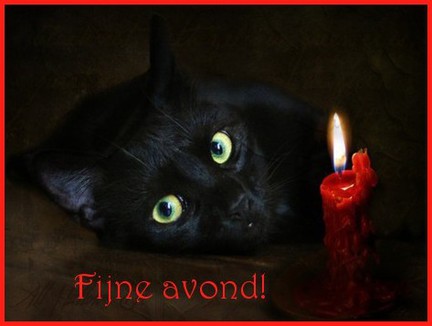 Fijne avond