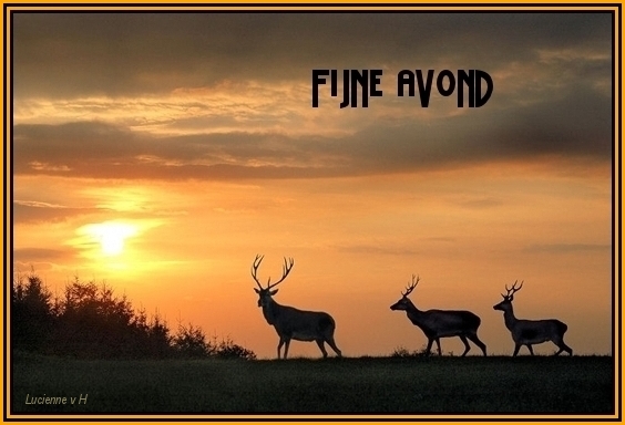 animaatjes-fijne-avond-163973.jpg