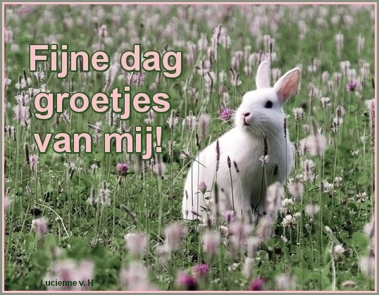 Plaatje Fijne Dag » Animaatjes.nl