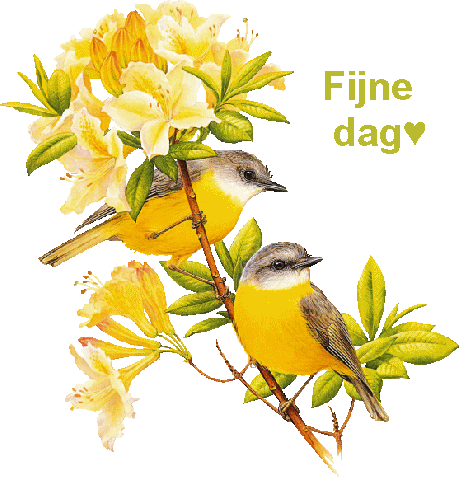 Fijne dag gele vogels