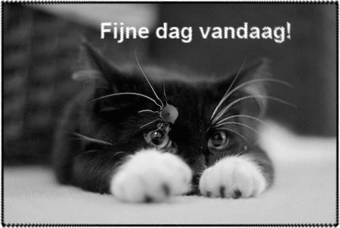 Fijne dag plaatjes