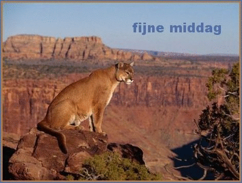 fijne