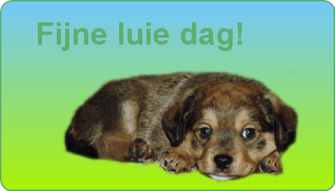 fijne