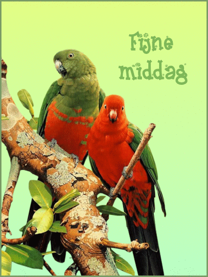 fijne