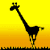 Giraffen Plaatjes 