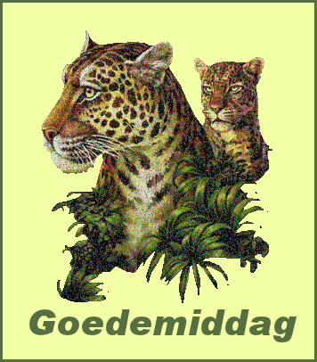 Plaatjes goedemiddag