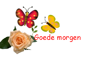 http://www.animaatjes.nl/plaatjes/g/goedemorgen/Goedemorgentekst020.gif