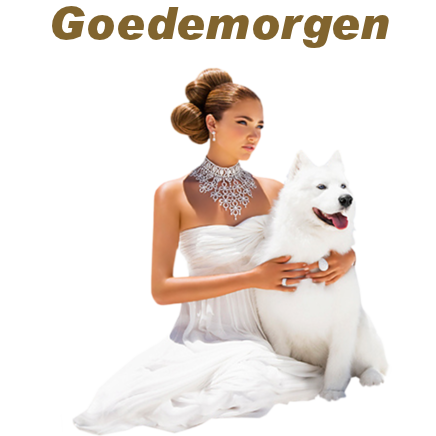 animaatjes-goedemorgen-2919371.png