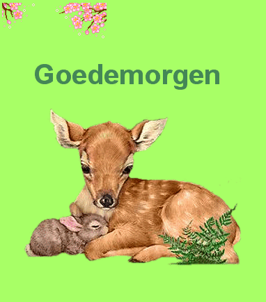 Goedemorgen