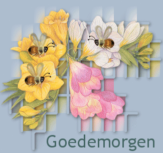 http://www.animaatjes.nl/plaatjes/g/goedemorgen/animaatjes-goedemorgen-82325.gif
