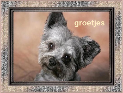 animaatjes-groetjes-68641.jpg
