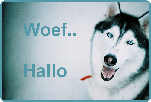 animaatjes-hallo-08979.png