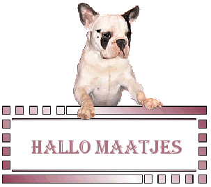animaatjes-hallo-36434.gif
