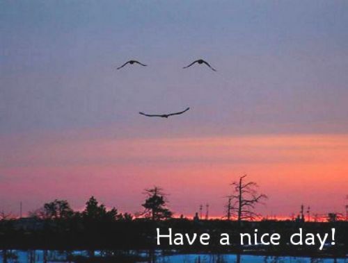 Have_a_nice_day plaatjes