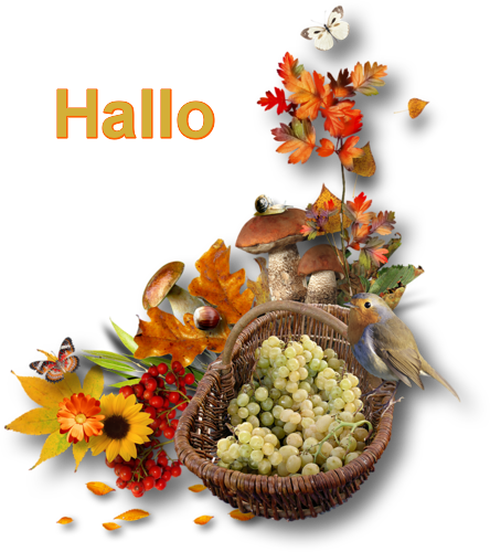 animaatjes-herfst-006076.png