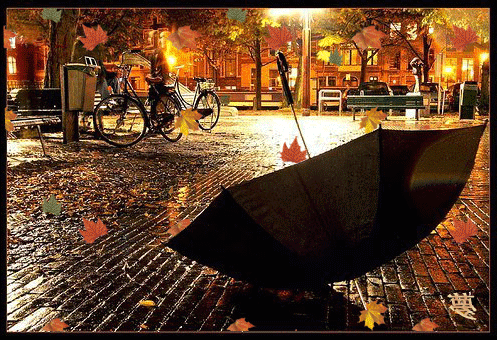 paraplu weggewaaid in herfst