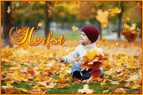 animaatjes-herfst-4708381.gif