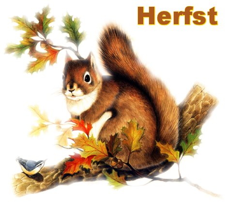 Afbeeldingsresultaat voor bewegende animaties herfst