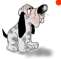 honden