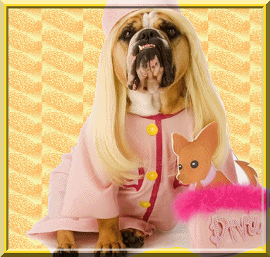 honden