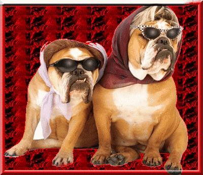 honden