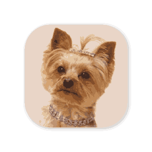 honden
