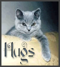 animaatjes-hugs-77547.gif
