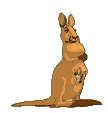 Plaatjes Kangaroes 