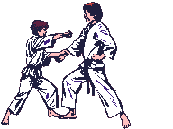 Karate Plaatjes 