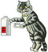 Katten Plaatjes Kat Melk Koffie