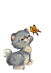 Katten plaatjes