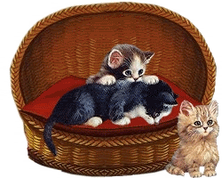 katten