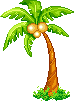 Plaatjes Kawaii Palmboom Met Kokosnoten