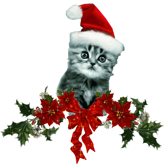 Plaatje Kerst Katten » Animaatjes.nl