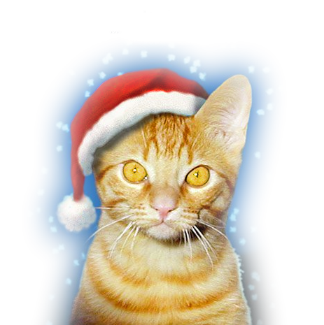 kerst_dieren