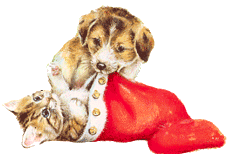 Plaatjes Kerst dieren Hond Kat Kerstsok Merry Xmas