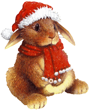 Afbeeldingsresultaten voor Kerst konijn