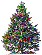 kerstbomen