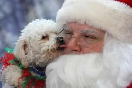 animaatjes-kerstmannen-84713.jpg