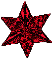 kerstster