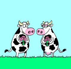 animaatjes-koeien-3839.gif