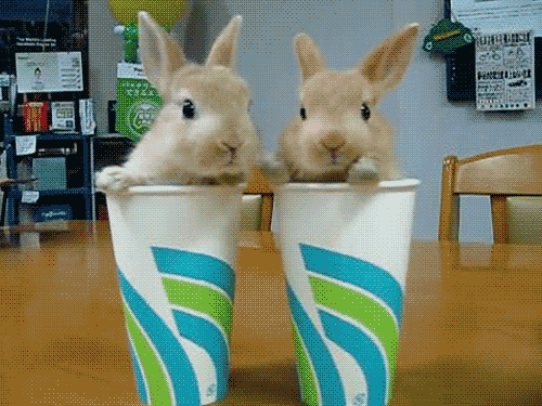 animaatjes-konijnen-89952.gif