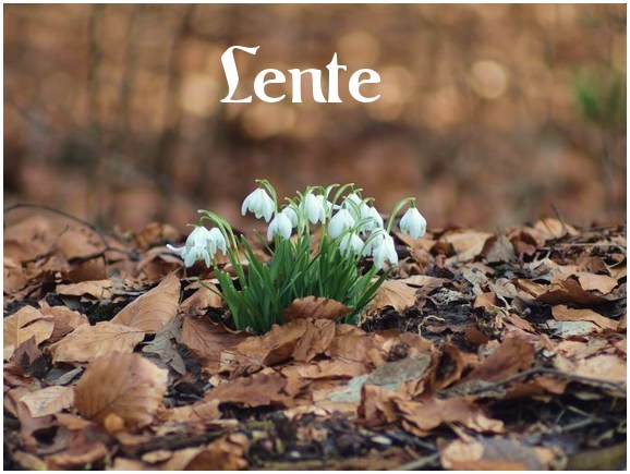 animaatjes-lente-536078.jpg